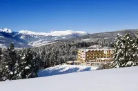 Hotel Chalet Tianes - Alpine Relax - Mountain view