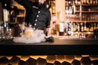 Excelsior Dolomites Life Resort - bar