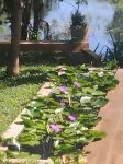 Vimanra Udawalawa - ที่มีสระว่ายน้ำ