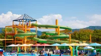 Welpia Iyo - Pools