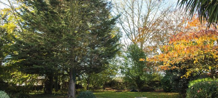 Spacious Private Annex Near Ashford Hotels in Ashford