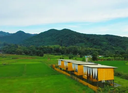 Kheang Khang Khao in Pua-Sakard