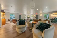 Forest Springs Resort - Wifi