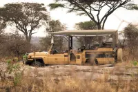 Kuona Serengeti - Bintang 2