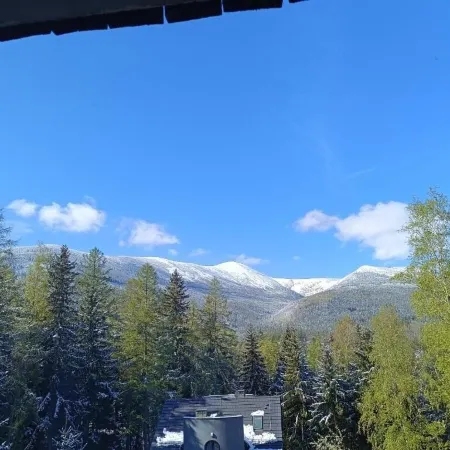 Willa Alaska