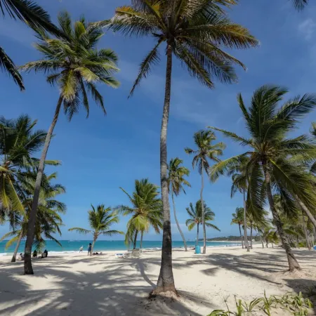 Oasis Retreat | Sleeps 4 | Free Airport Transfer