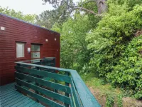 The Treehouse - Homestays