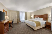 Best Western Swiss Clock Inn - Pet friendly