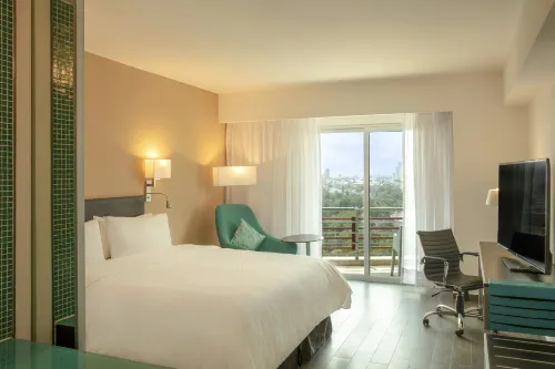 Fiesta Inn Puebla Las Animas - مسبح