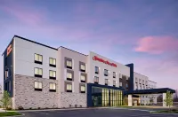 Hampton Inn & Suites by Hilton Franklin Indianapolis - Pools