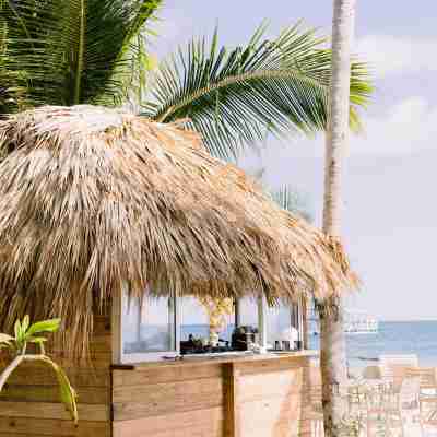Elegant and Spacious Penthouse with Ocean View Hotel Exterior