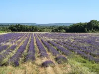 Le Mas Hotels in Grillon