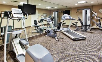 Holiday Inn Express & Suites Baton Rouge East