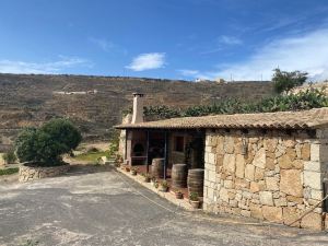 Rural Finca Casa Del Olivo in Arico Tenerife South