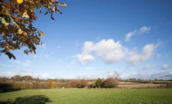 a beautiful autumn landscape with a clear blue sky , green grass , and trees in the foreground at Hillcroft Accommodation