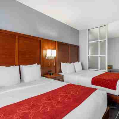 Comfort Suites Olive Branch Rooms
