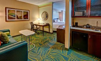 SpringHill Suites Norfolk Old Dominion University