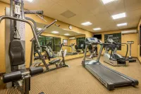 Holiday Inn Express & Suites CLOVIS by IHG - Gym