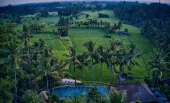 Mathis Retreat Ubud