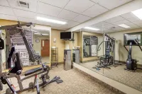 Quality Inn & Suites MidAmerica Industrial Park Area - gimnasio