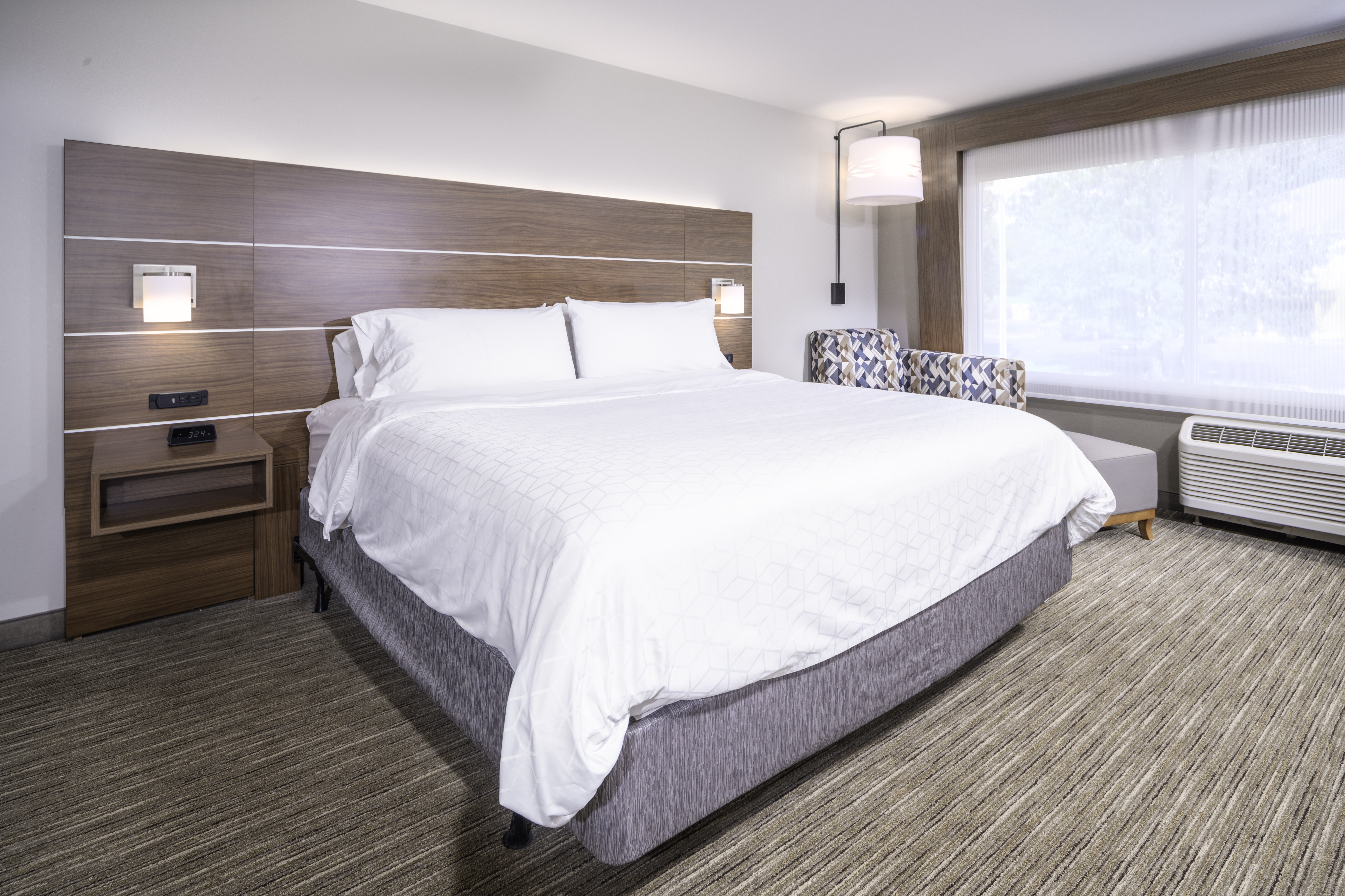 Holiday Inn Express & Suites Brevard – City Center 房間 Photos