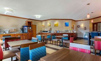 Comfort Suites Stevensville - St Joseph