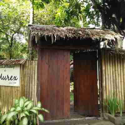 Murex Dive Resort Hotel Exterior