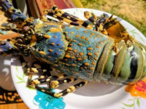 พยามาศ โรงแรมในเกาะพยาม