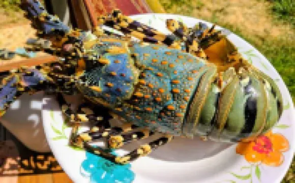 Phayamas Private Beach Resort and Island Brew - Adults Only