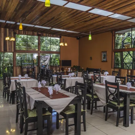 Jaguarundi Jungle Lodge - Monteverde