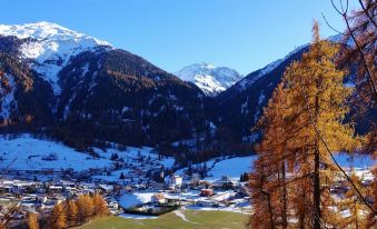 B&B Villa Stelvio