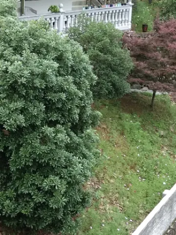 Wanfuqiao Station (Maling Ancient Road Branch) Отели рядом с достопримечательностью «Shishe Village»