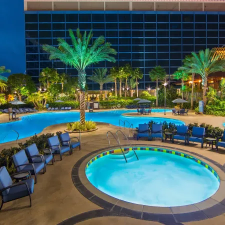 Disneyland Hotel