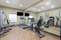 Best Western Texas City Hotels in Texas City