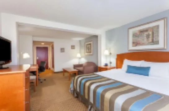 Spark by Hilton Winchester