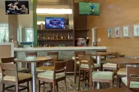 比亞埃爾莫薩希爾頓歡朋飯店 - 酒吧