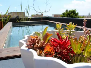 萊昂柯布艾琳娜酒店 - 設計酒店會員