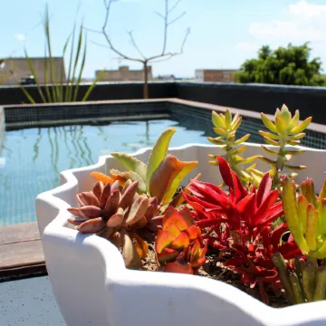 Elena de Cobre, Leon, a Member of Design Hotels