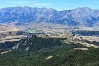 포레스트 로지 - 호스텔