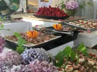 Castro Beach Hotel Hotels in Maleme