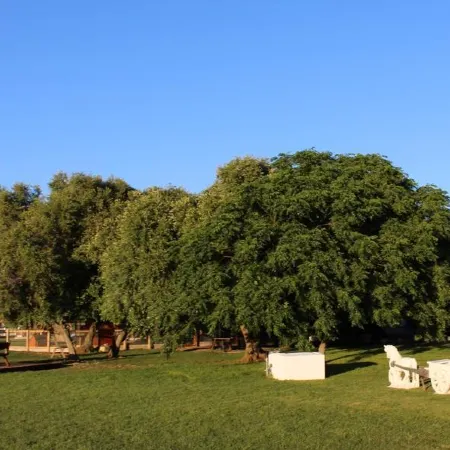Cortijo El Indiviso