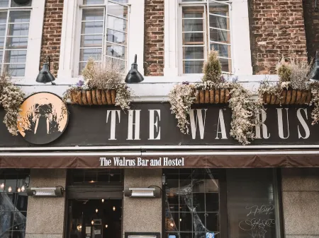 The Walrus Bar and Hostel