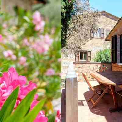 Agriturismo Cavalierino Hotel Exterior
