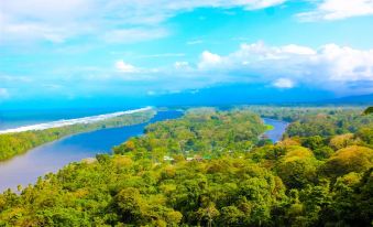 Hotel Tortuguero Beachfront