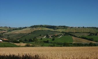 A3Passi Agriturismo Tra Gli Ulivi