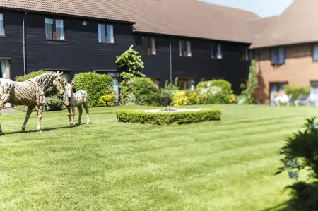 Champneys Springs Отели в г. Ибсток