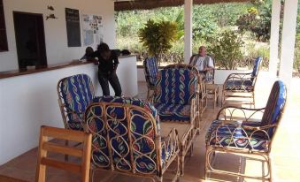 a group of people sitting at outdoor seating areas with blue and white chairs , wooden tables , and potted plants at Hotel Maya