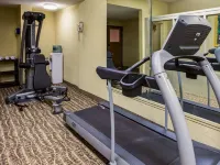 Comfort Inn Lexington I-75 - Gym