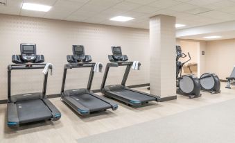 a row of treadmills and stationary bikes in a gym , with the trainers ' surroundings visible at Hilton Garden Inn Flint Downtown