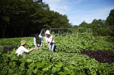 ホテル周辺 星野リゾート リゾナーレ那須の写真